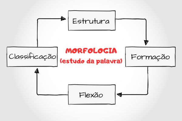 Diagrama com o conceito de morfologia.