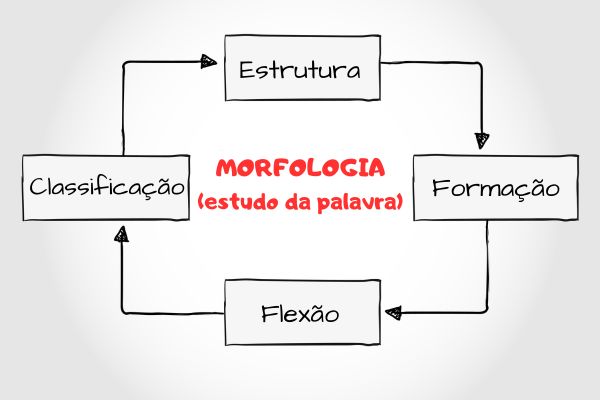 Nos dias da Língua Portuguesa e da Matemática conheça algumas