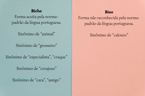 Imagem explicando o que é “bicho”, com ch, e “bixo”, com x.